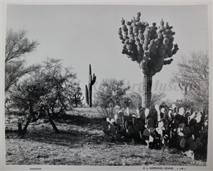 Image description is not available for 2007.032